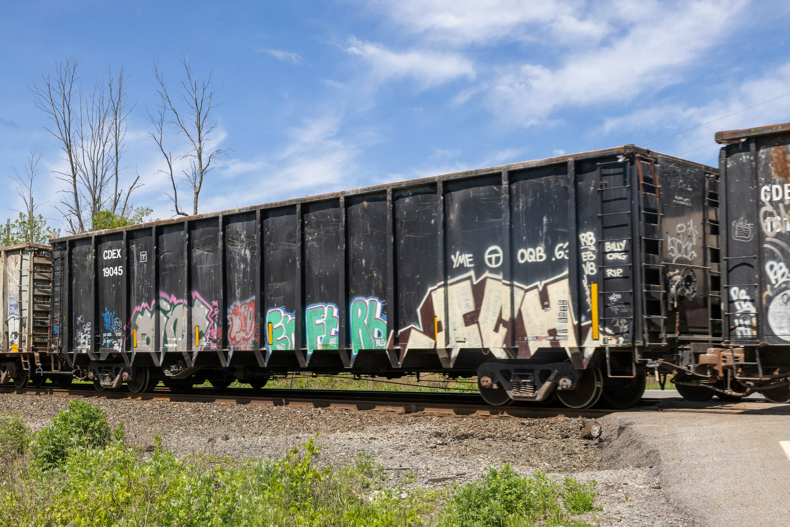 CDEX 19045