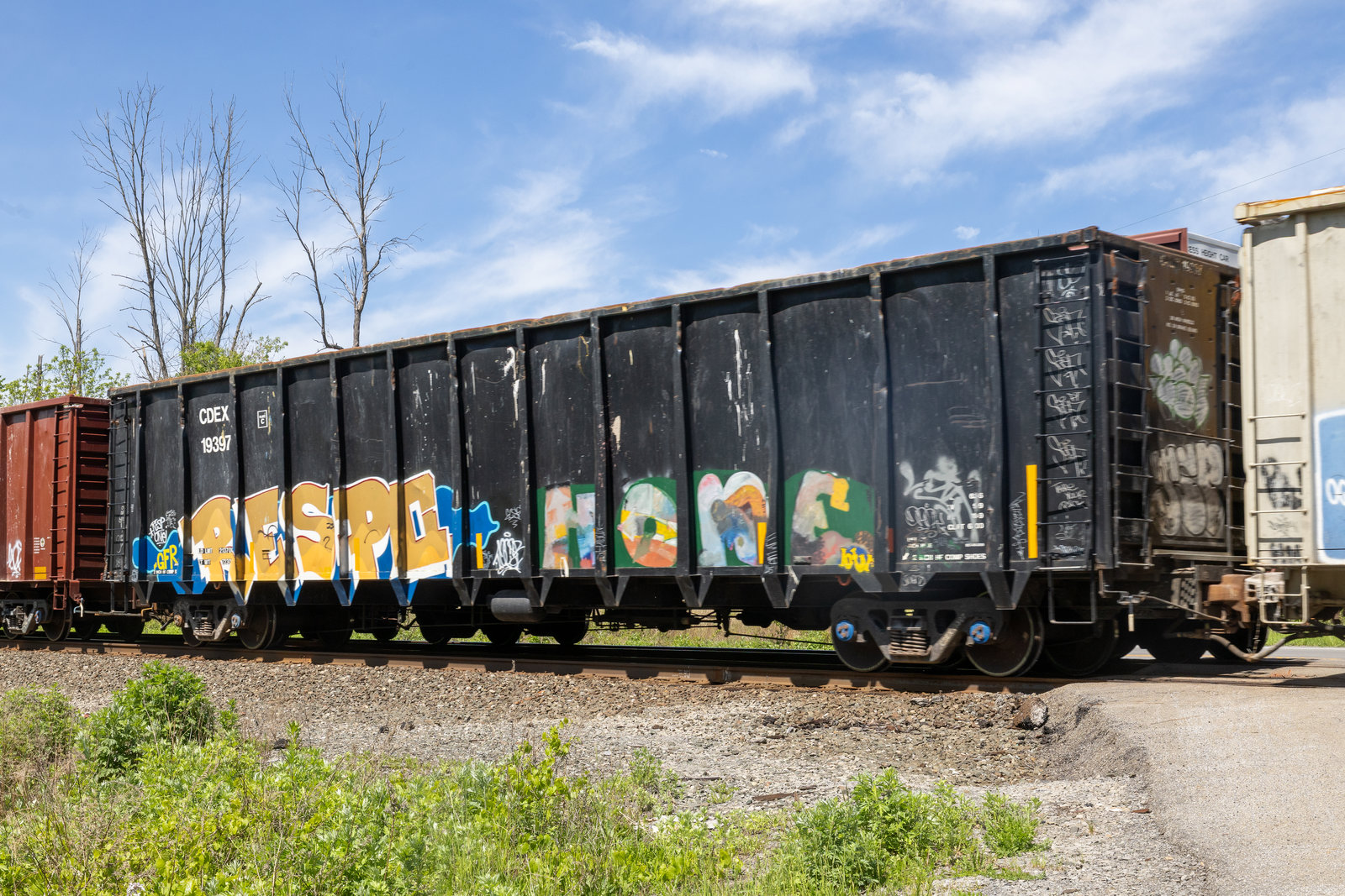 CDEX 19397