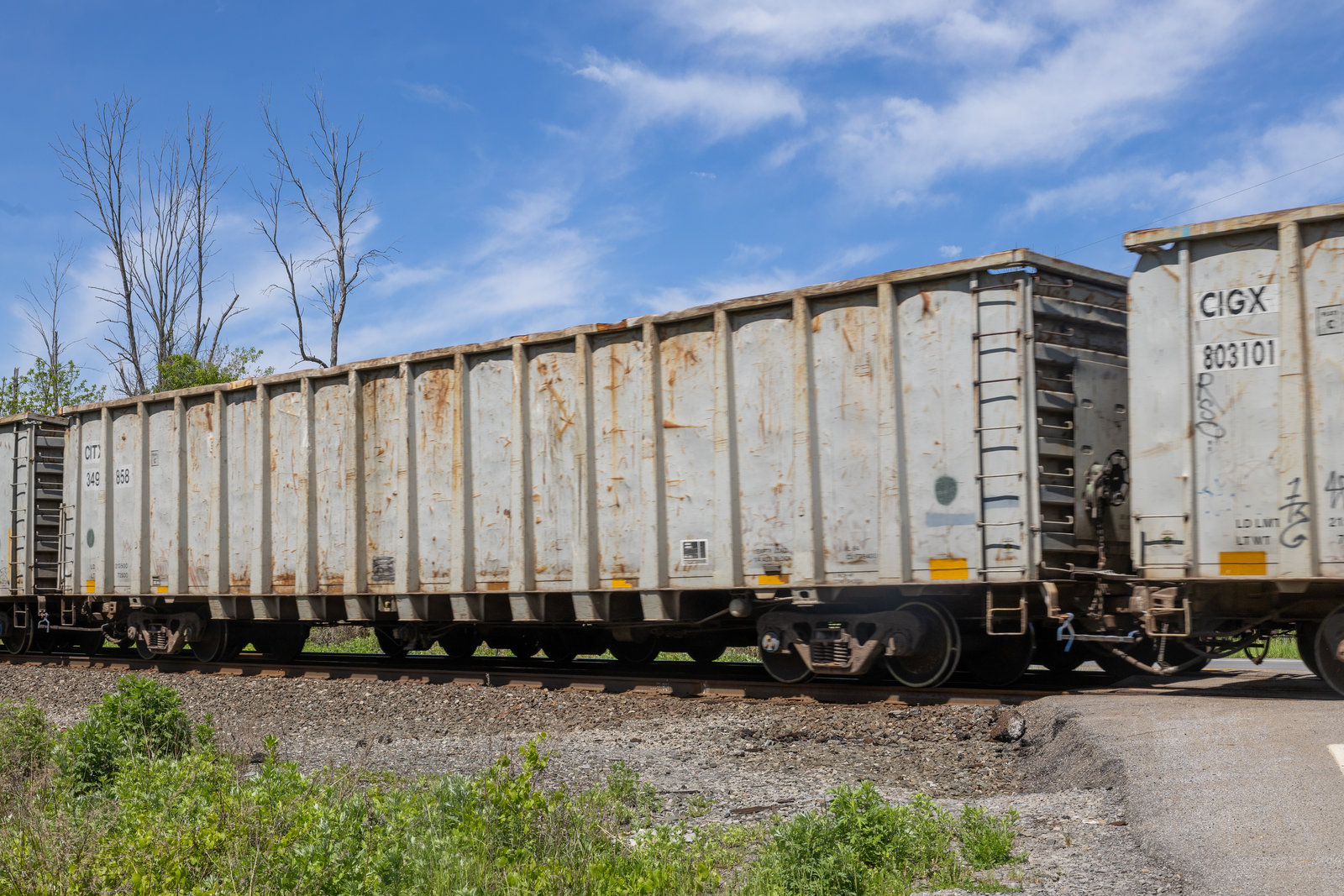 CITX 349858