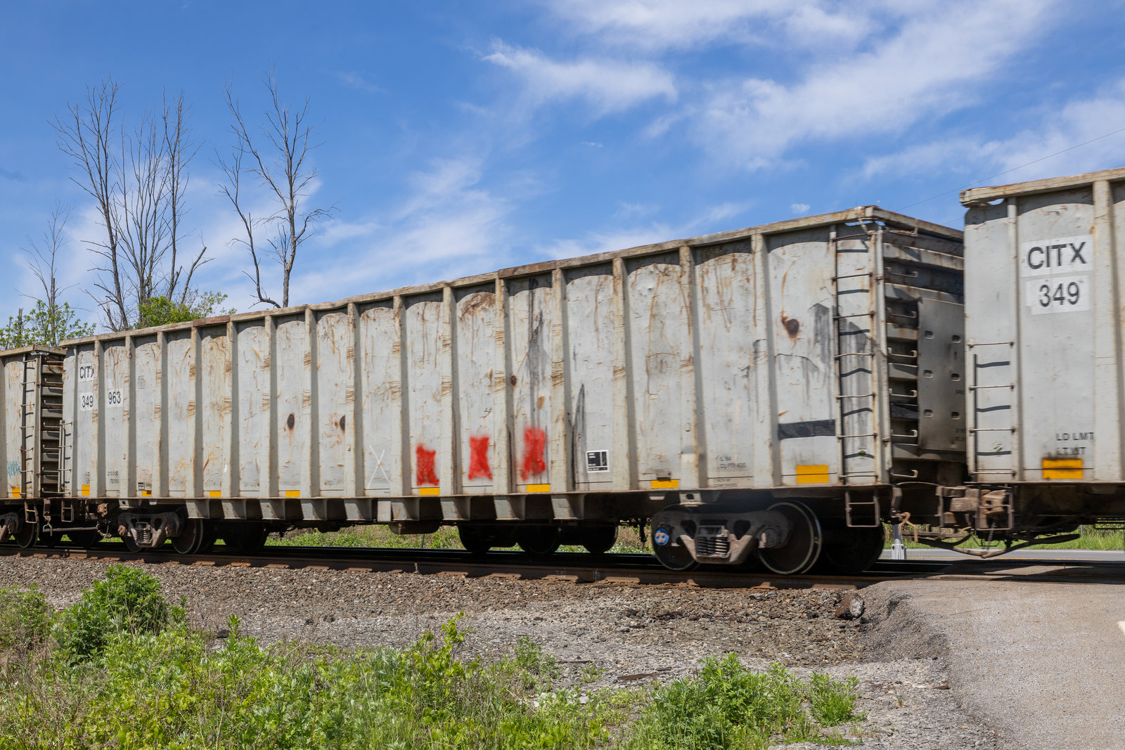 CITX 349963