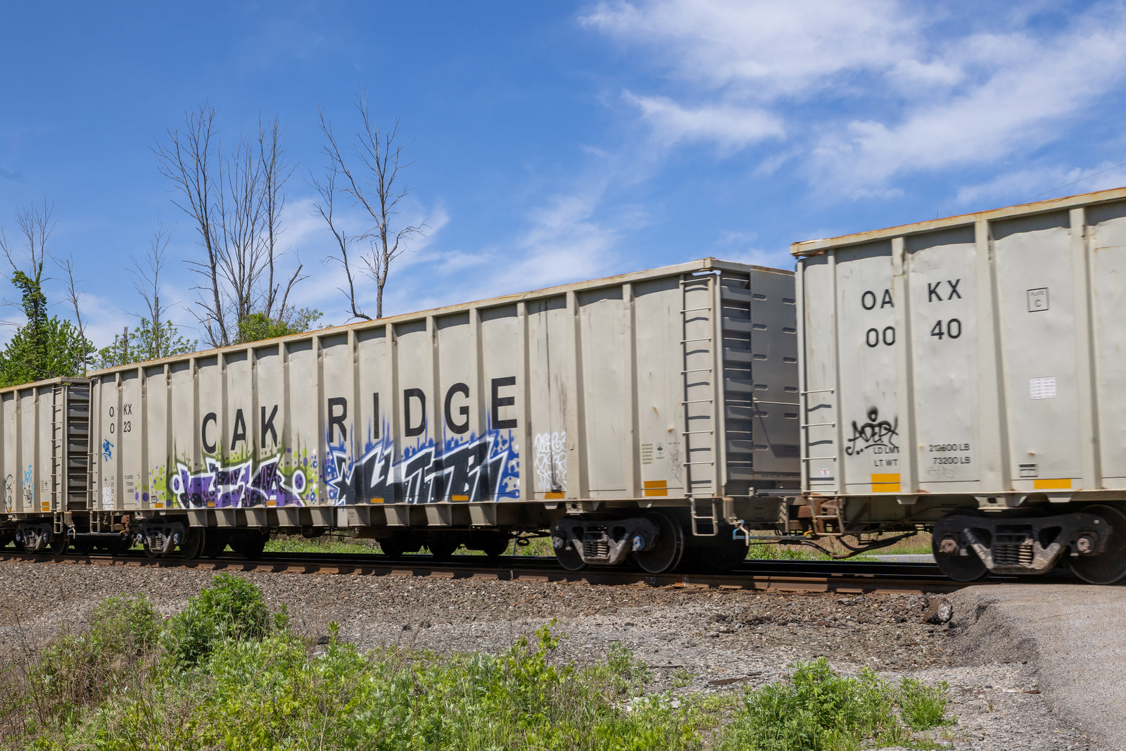 OAKX 0123