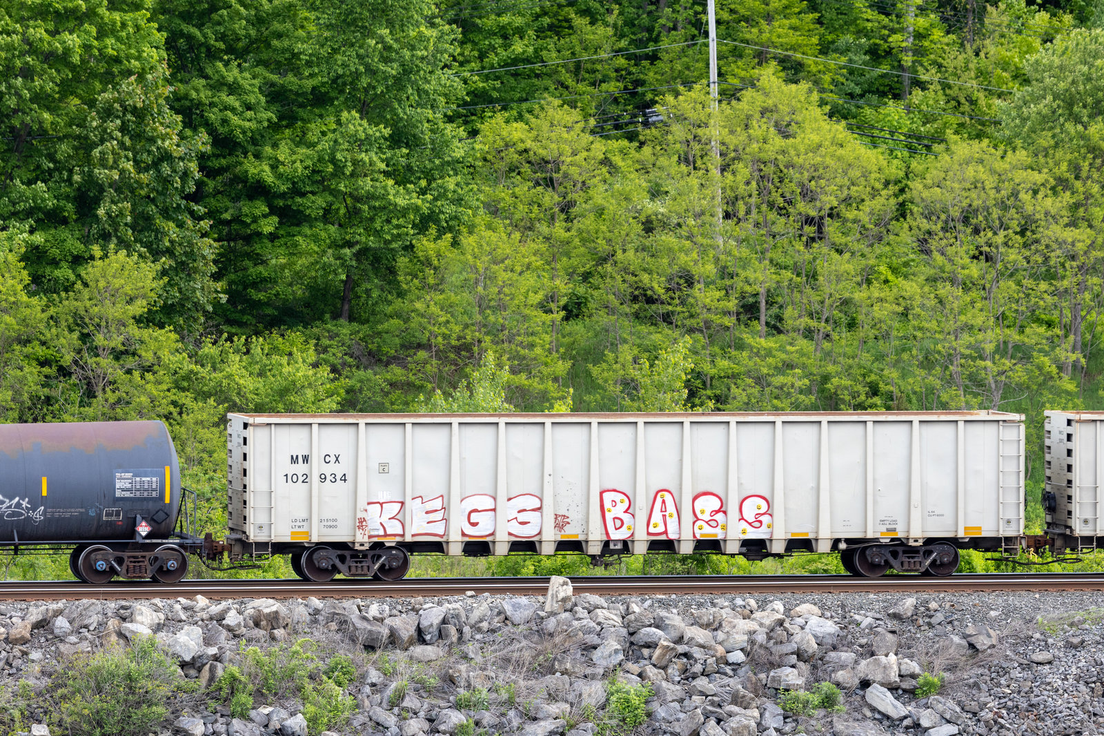 MWCX 102934