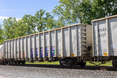 RSGX 4325