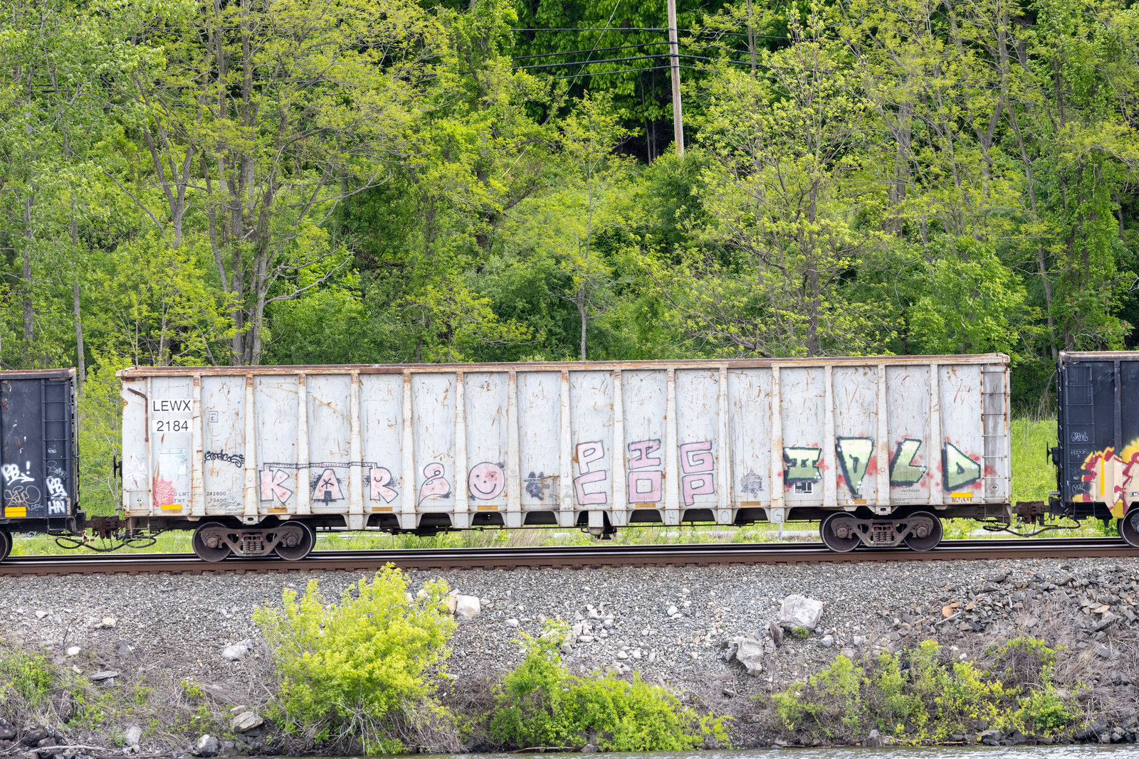 LEWX 2184