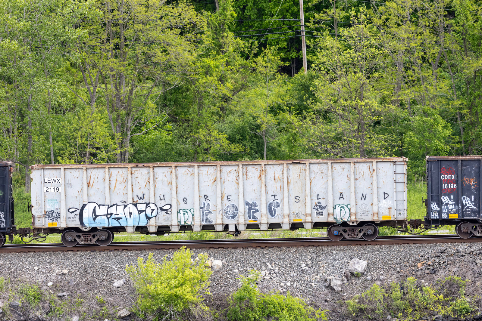 LEWX 2119