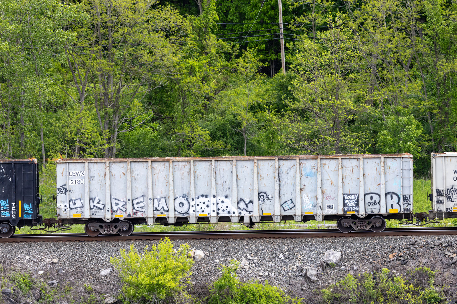 LEWX 2180