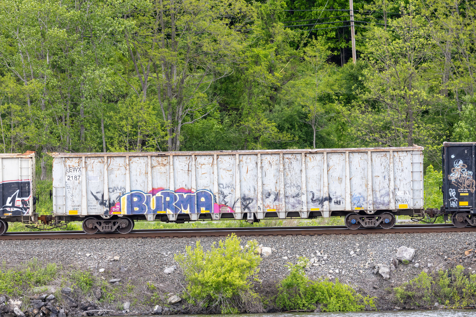 LEWX 2187