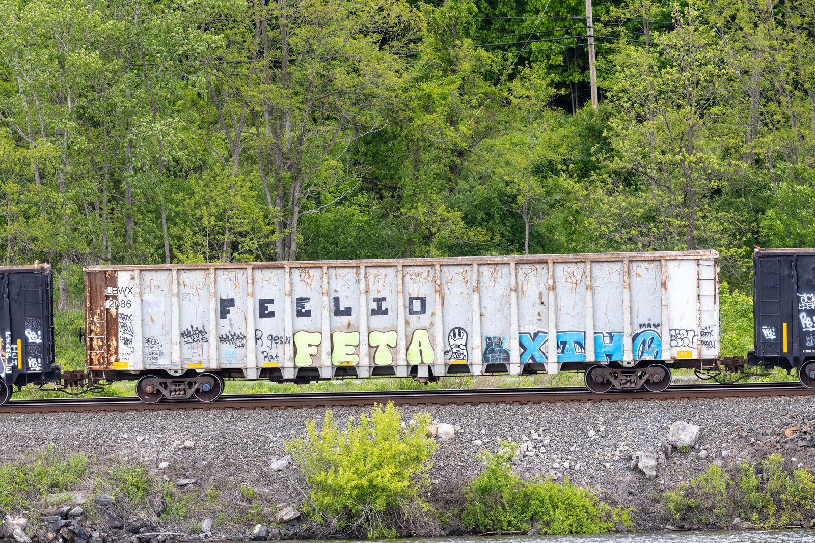 LEWX 2086