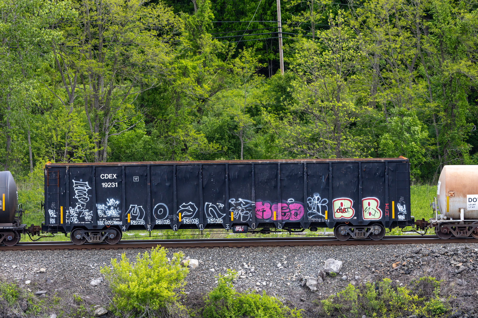 CDEX 19231