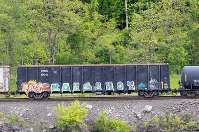 CDEX 19042