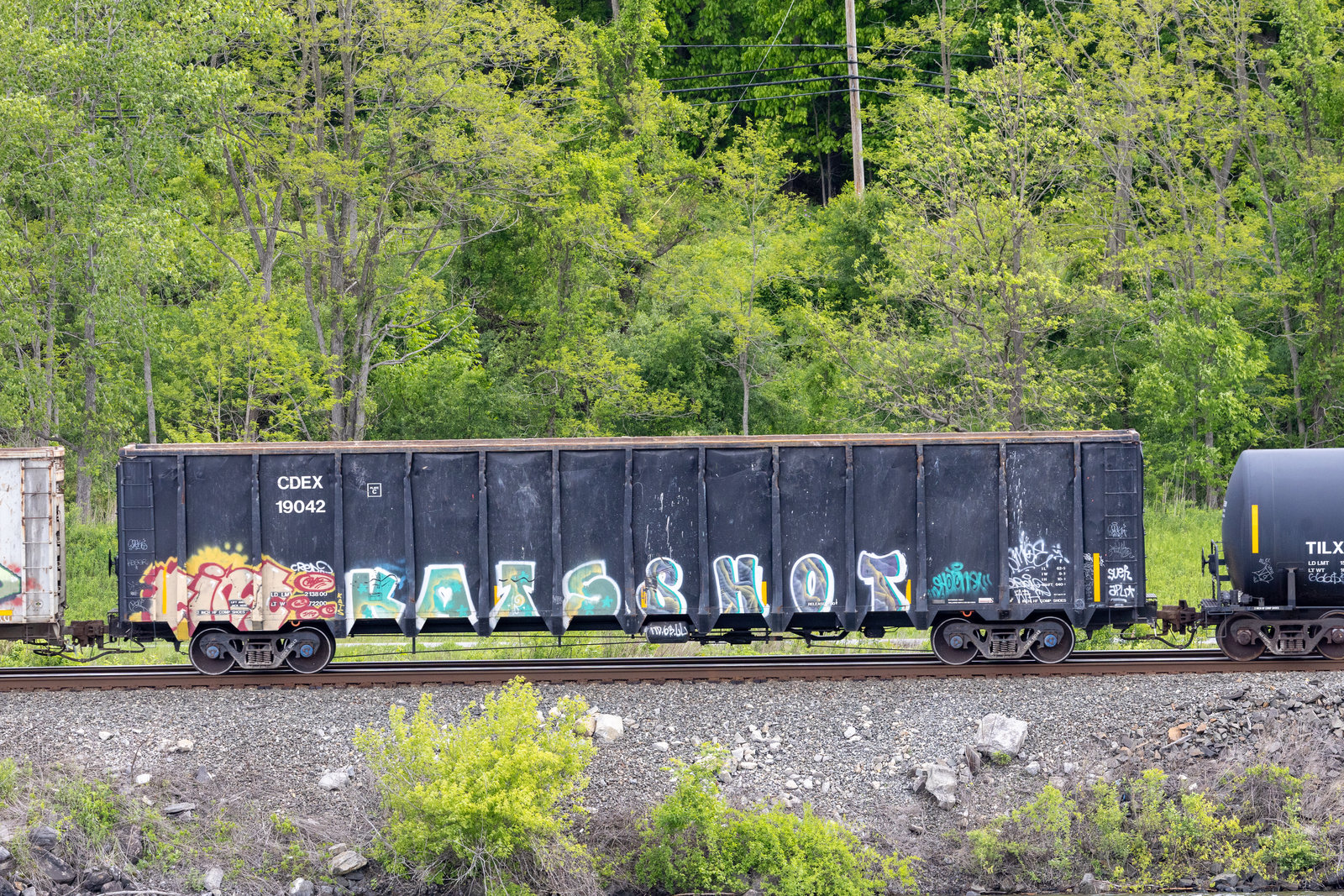 CDEX 19042