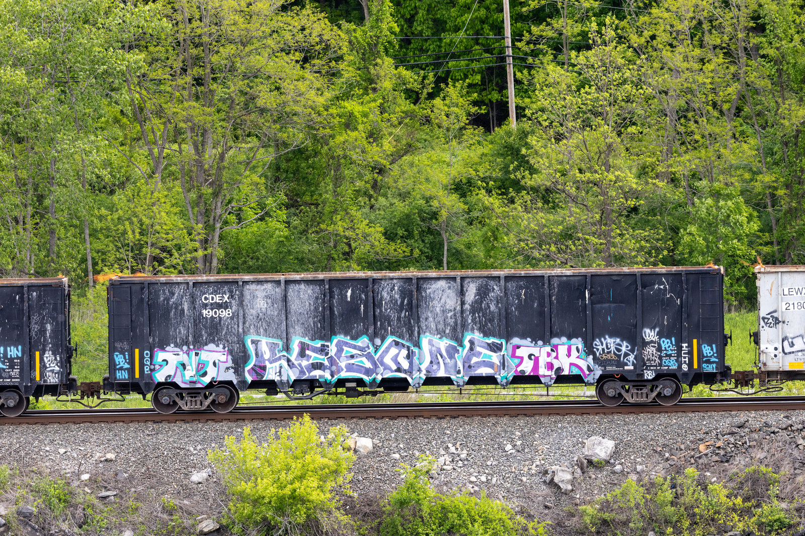 CDEX 19098