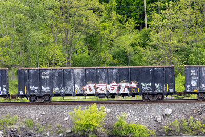 CDEX 19097