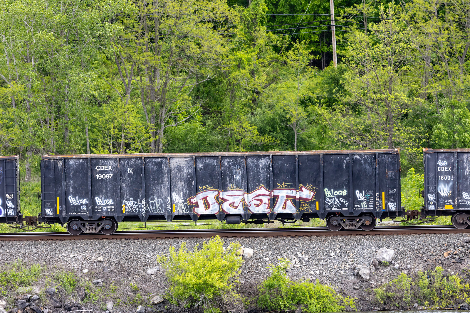 CDEX 19097