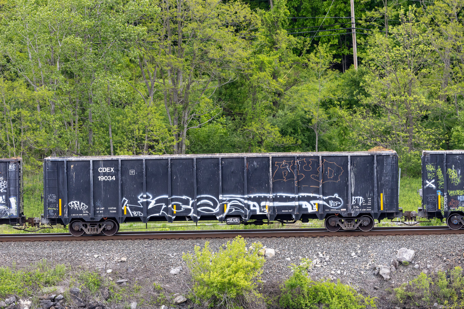CDEX 19034