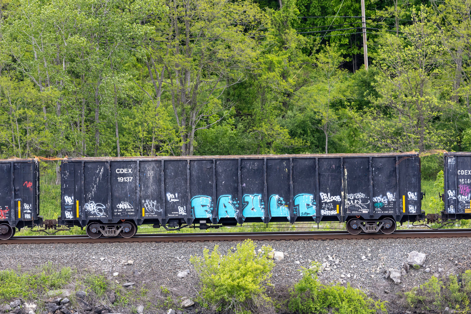 CDEX 19137