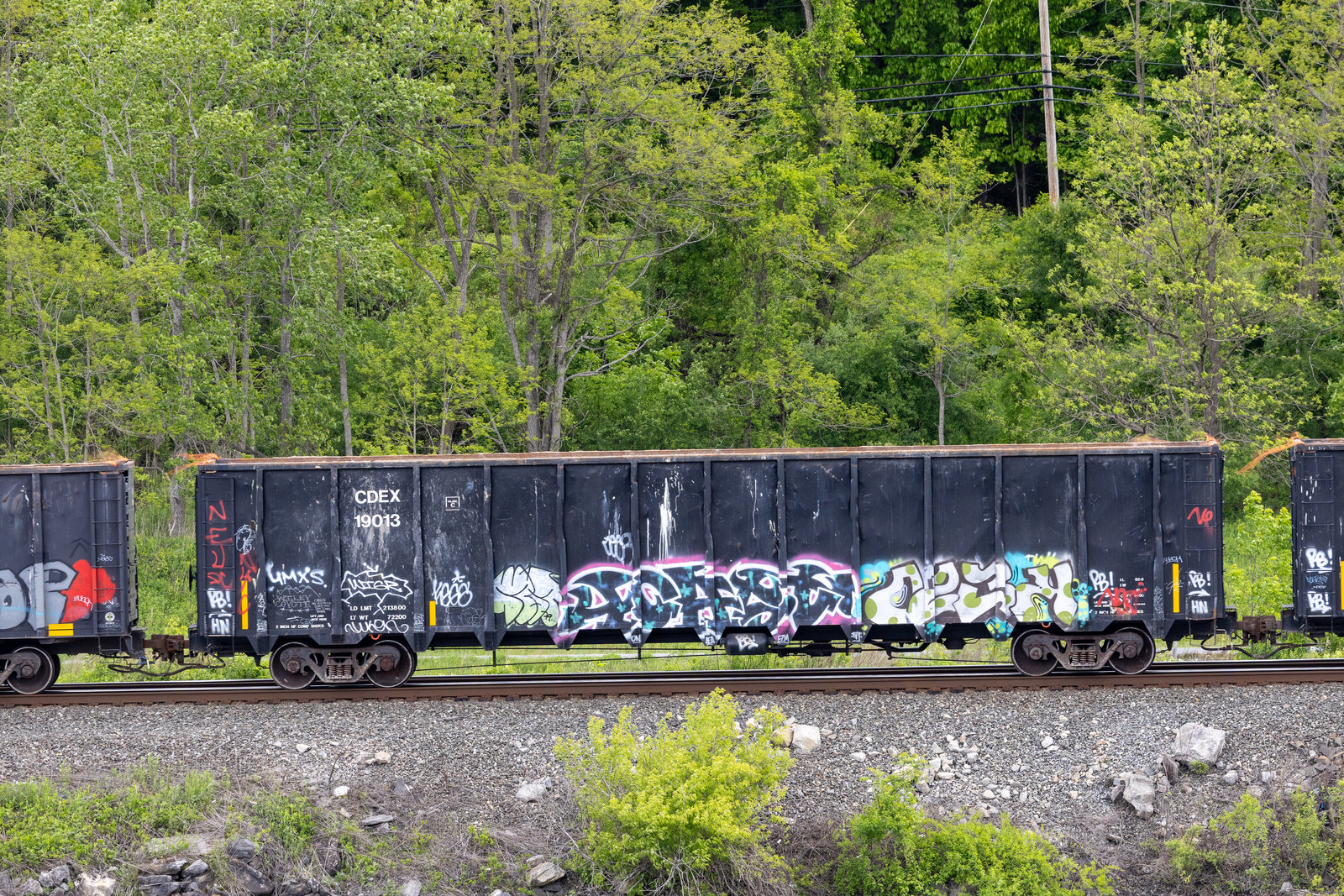 CDEX 19013