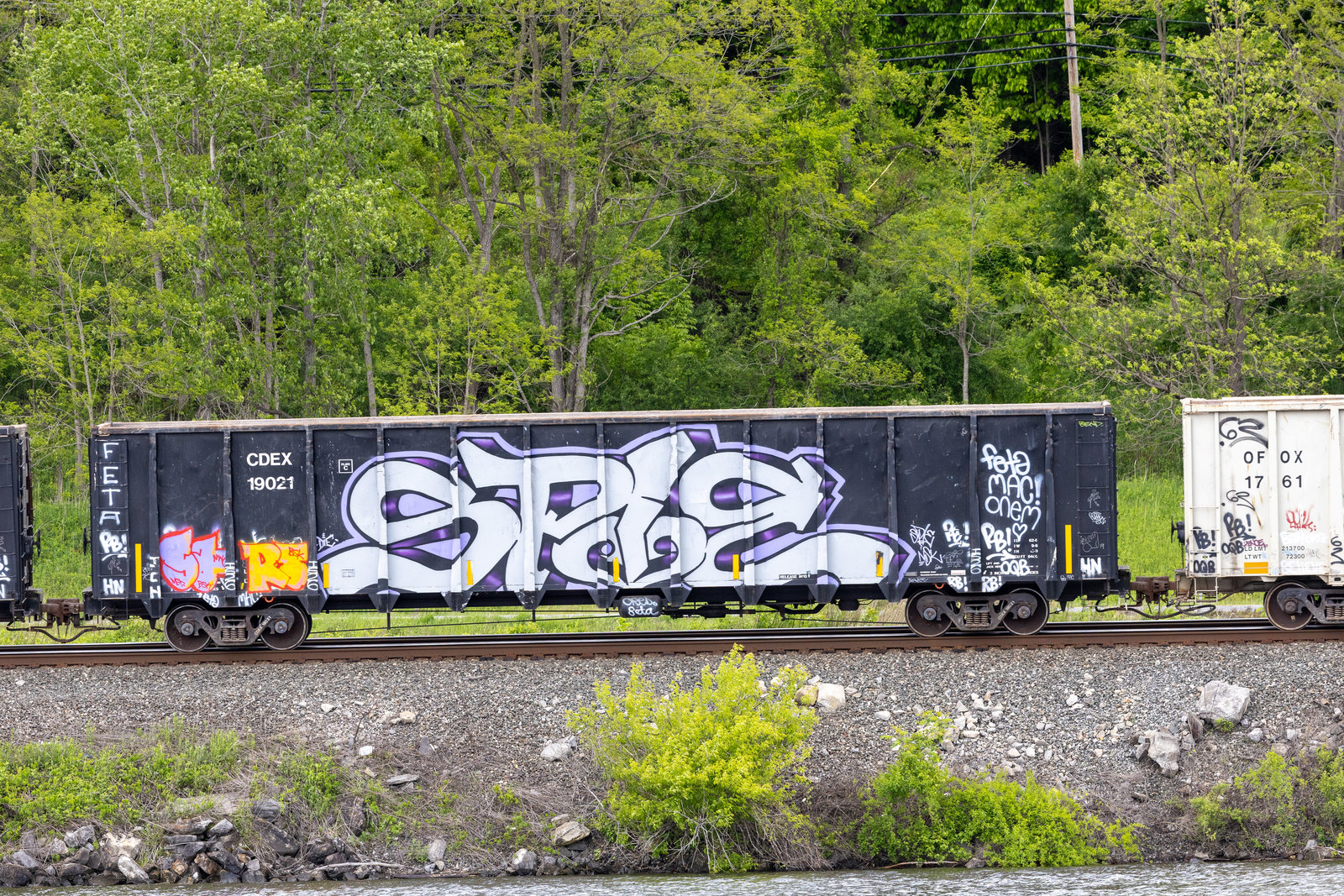 CDEX 19021