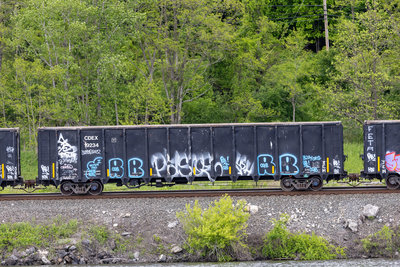 CDEX 19234
