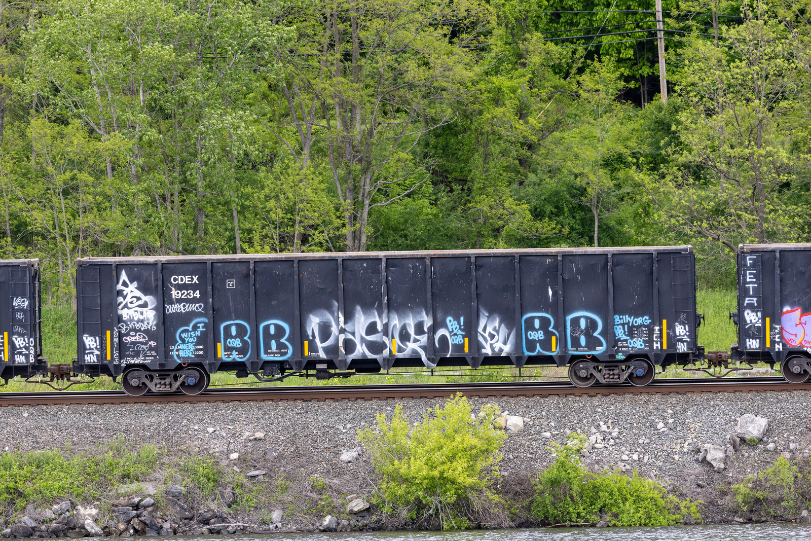 CDEX 19234