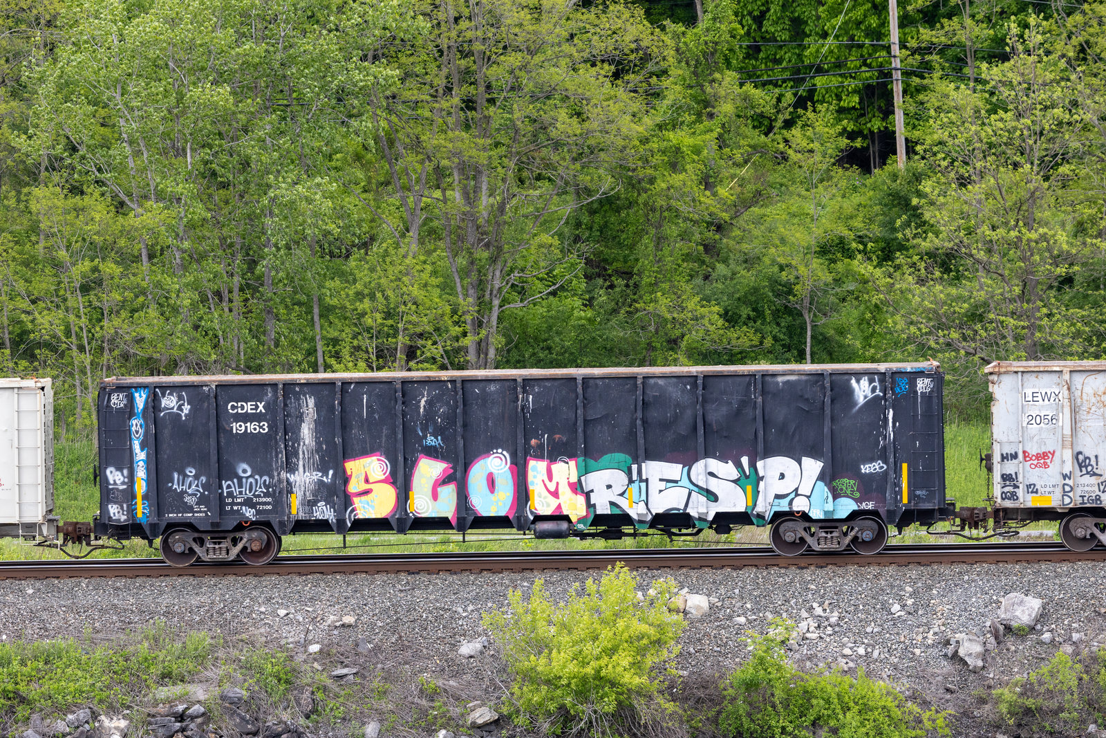 CDEX 19163