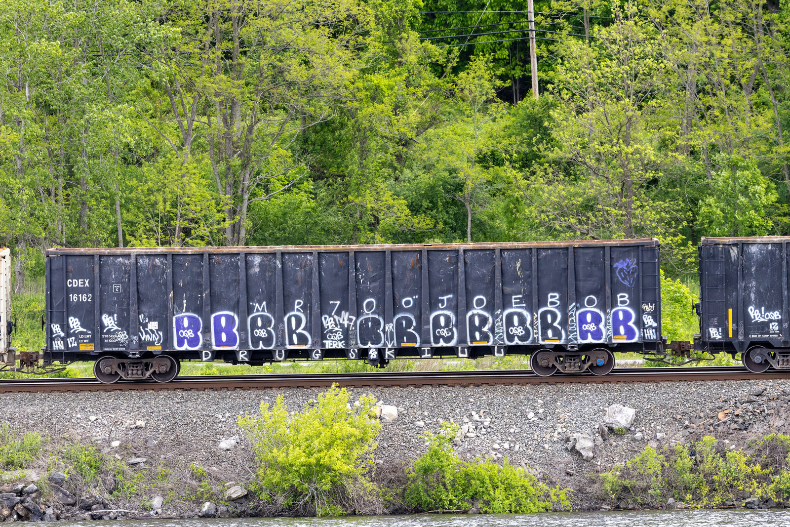 CDEX 16162