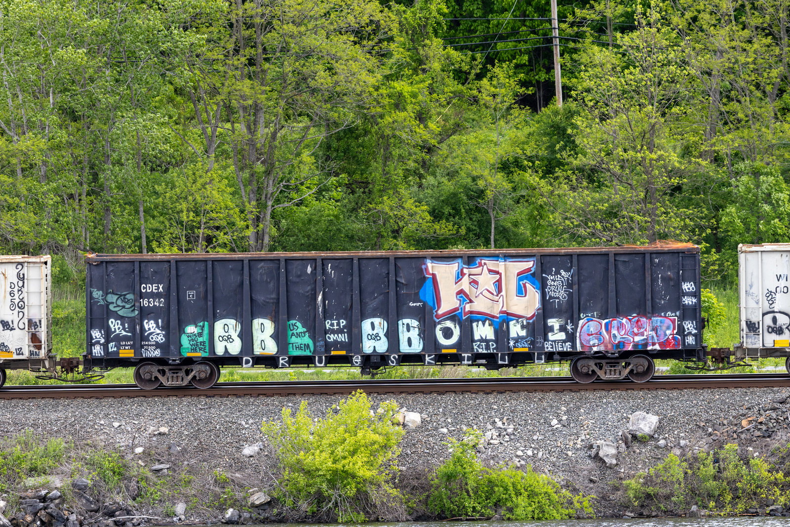 CDEX 16342
