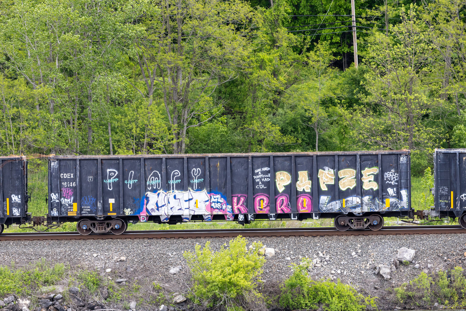 CDEX 16146