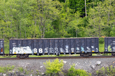 CDEX 16137