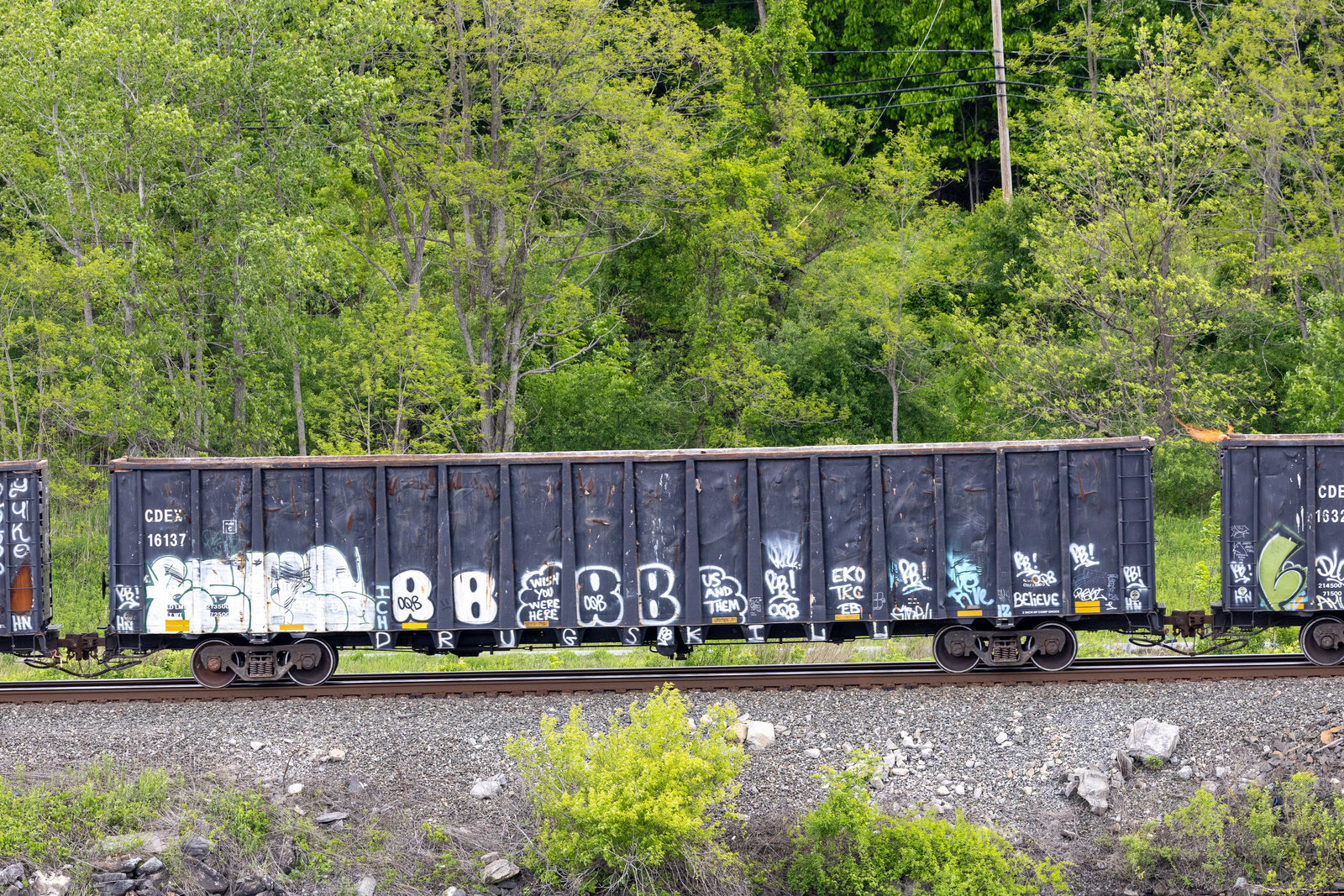 CDEX 16137