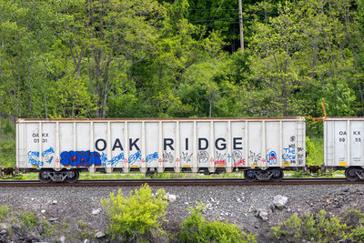 OAKX 0131