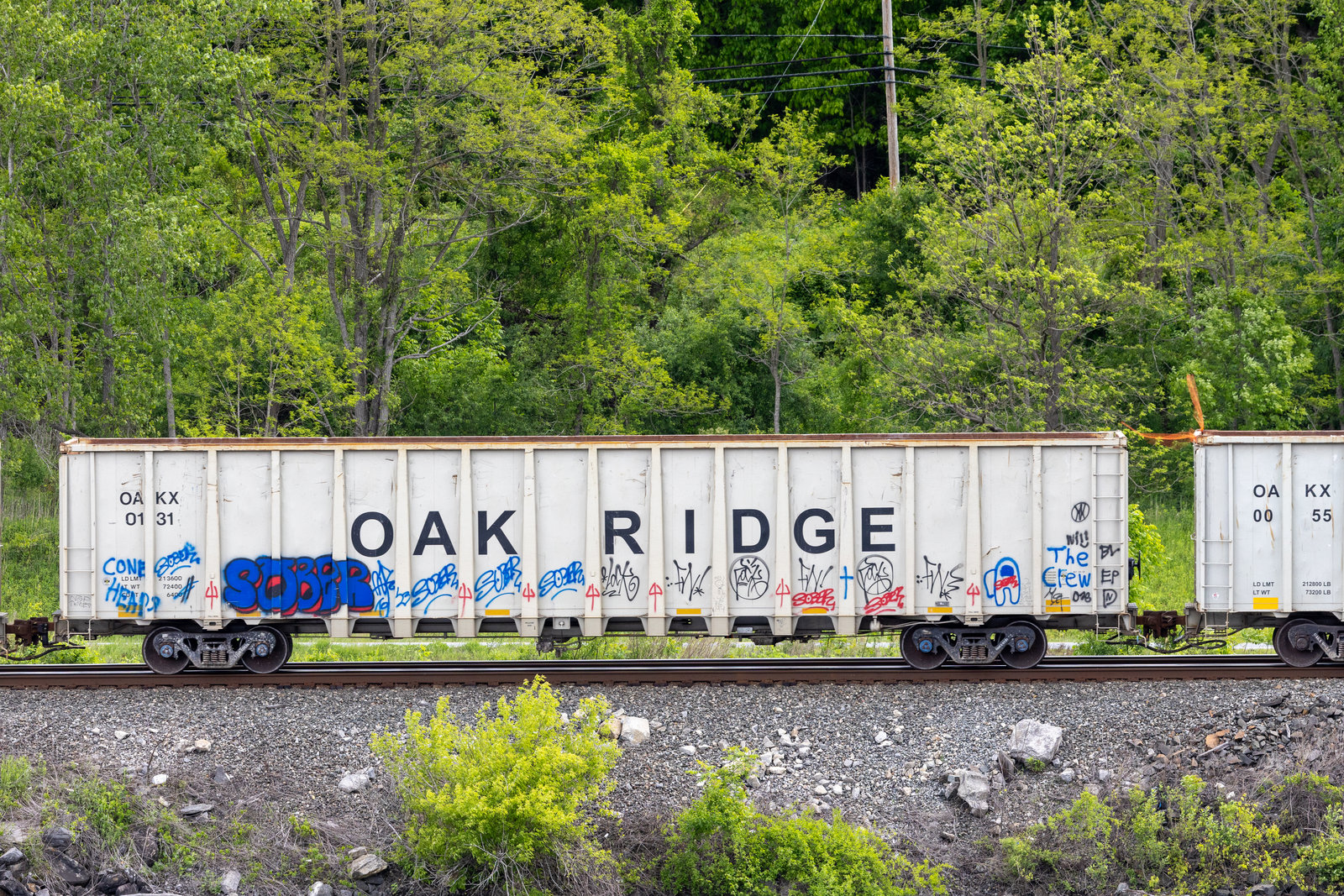 OAKX 0131