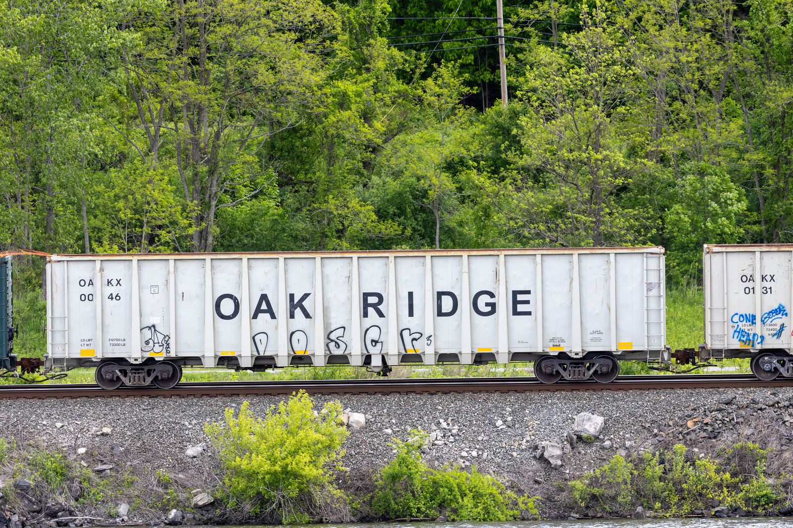 OAKX 0046