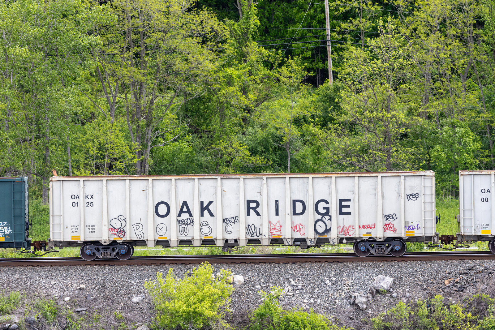 OAKX 0125