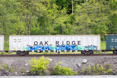 OAKX 0054