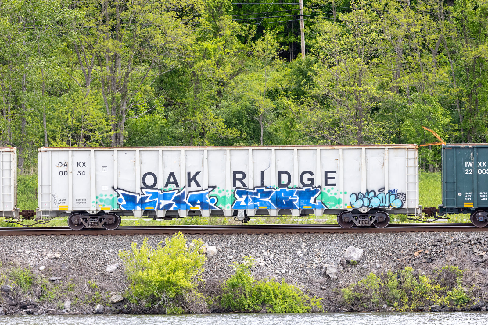 OAKX 0054