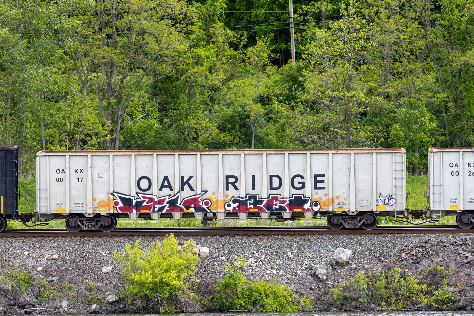 OAKX 0017