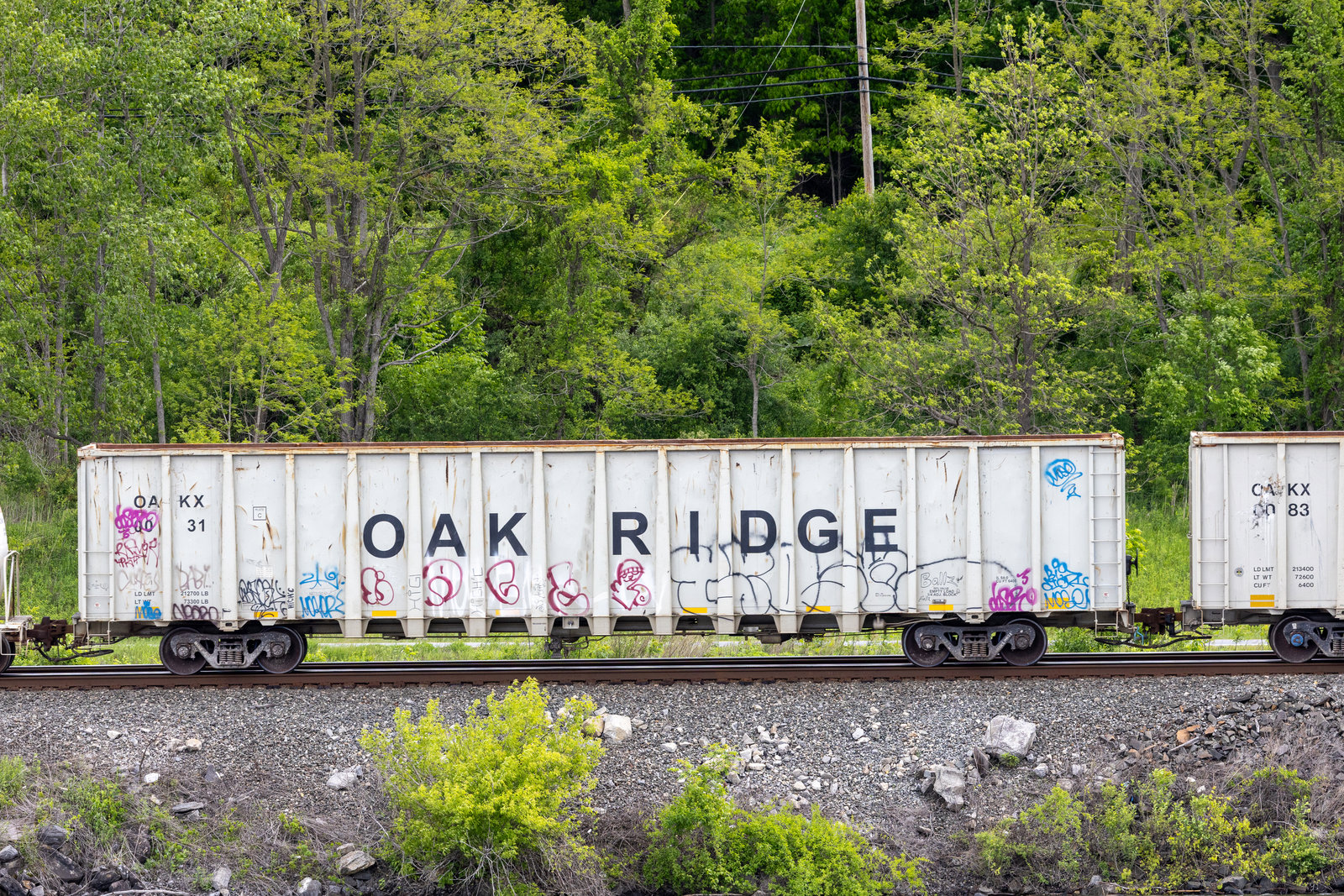 OAKX 0031