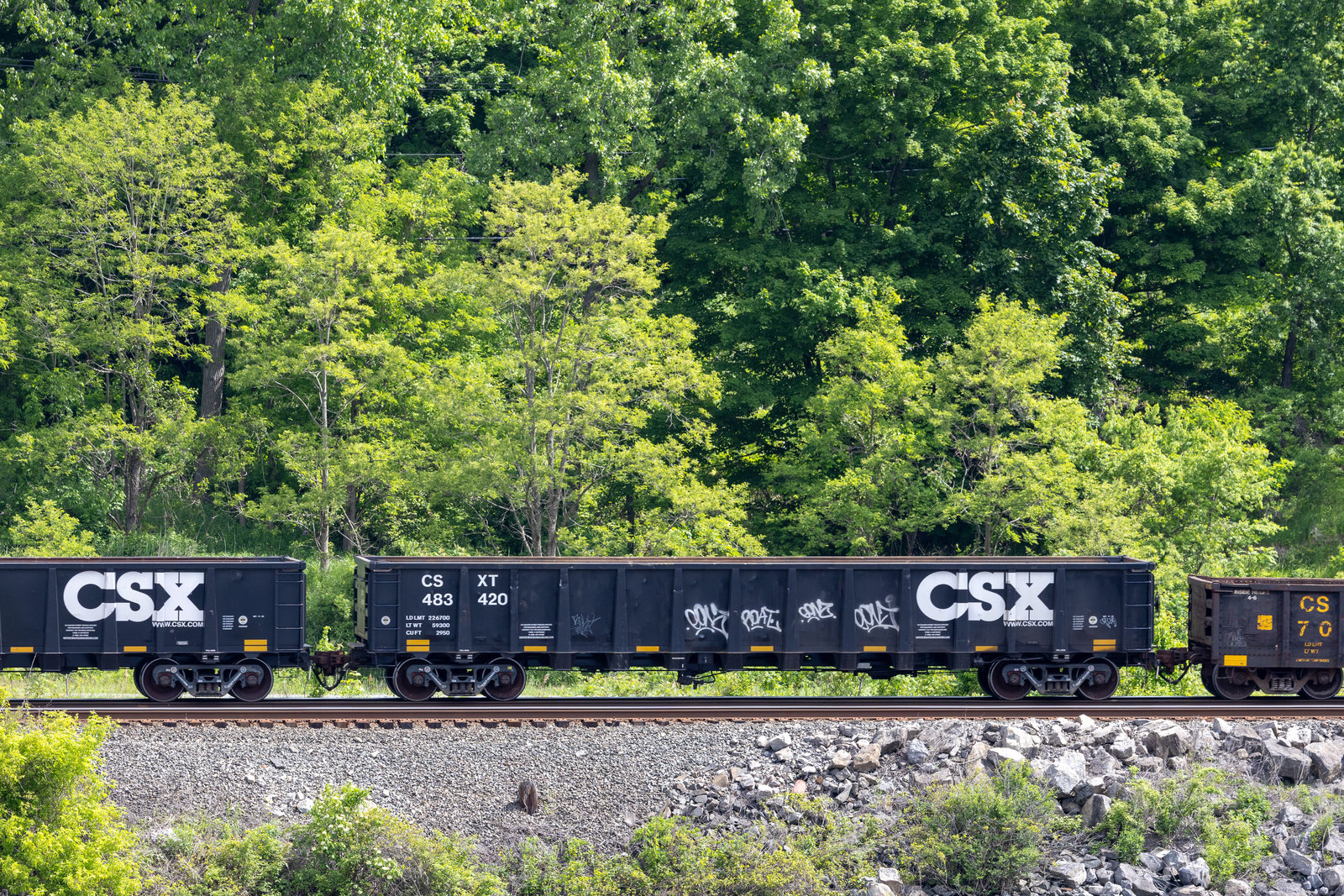 CSXT 483420
