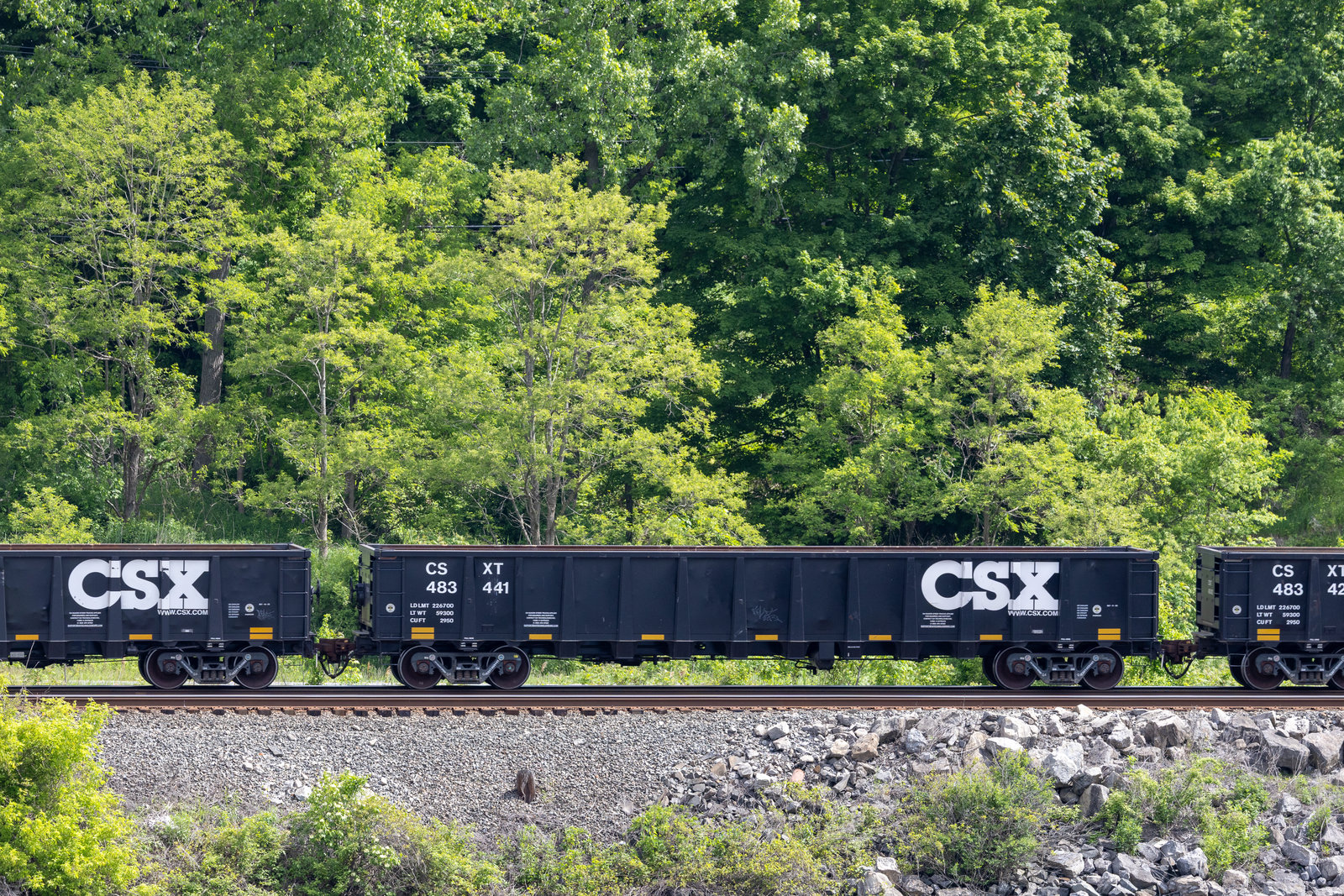 CSXT 483441