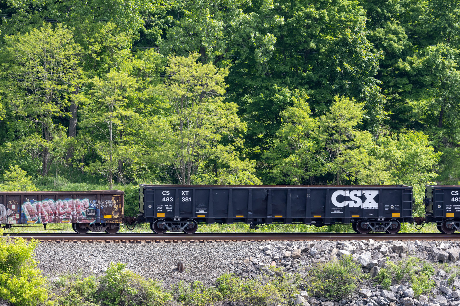 CSXT 483381