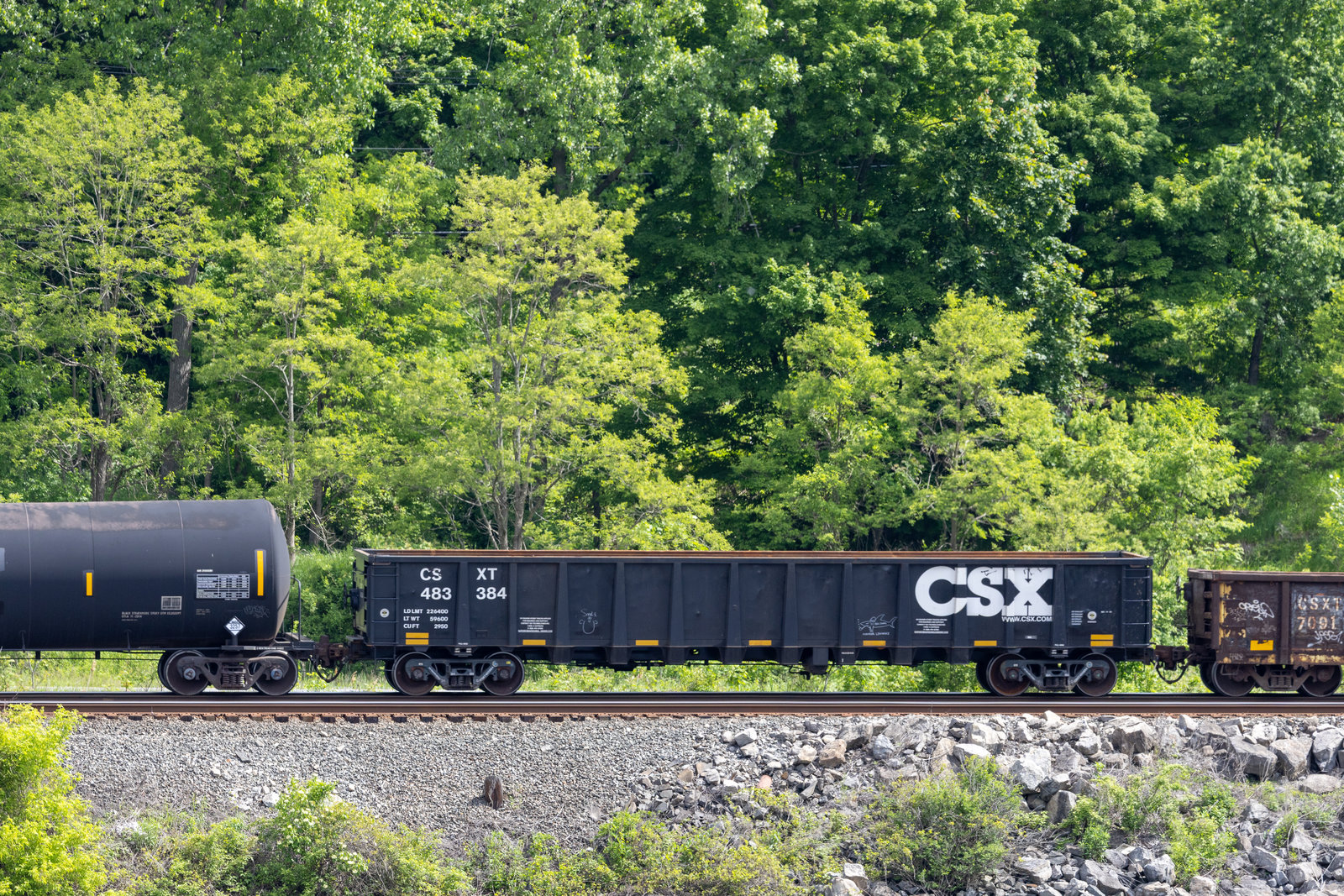 CSXT 483384