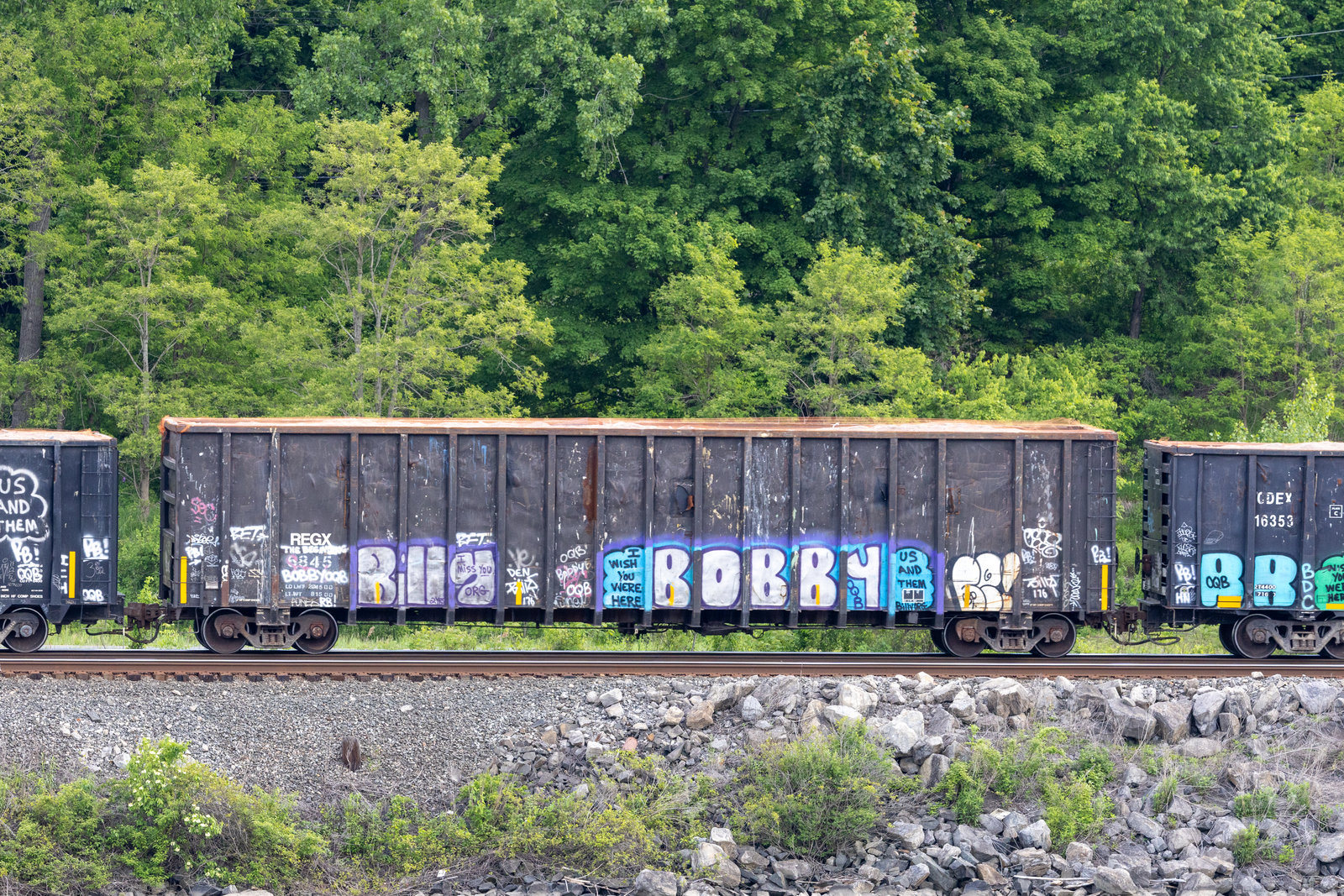 REGX 6845