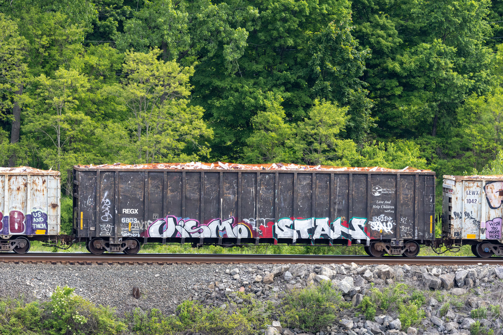 REGX 6803