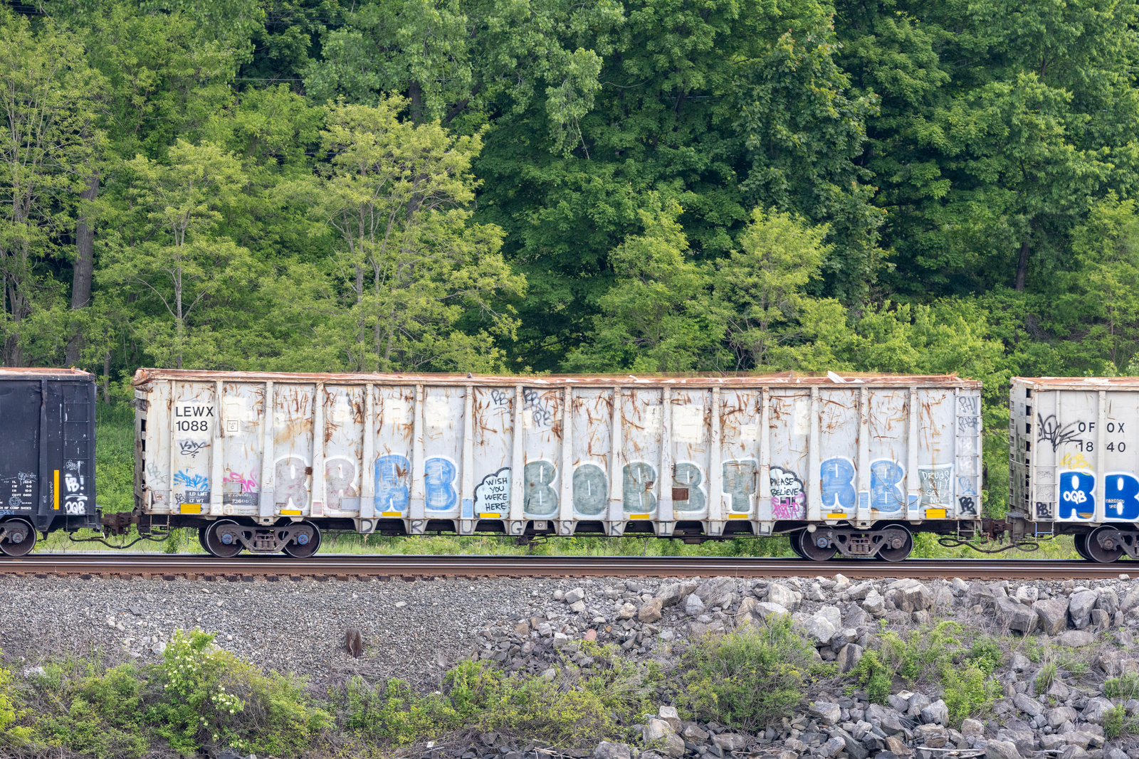 LEWX 1088