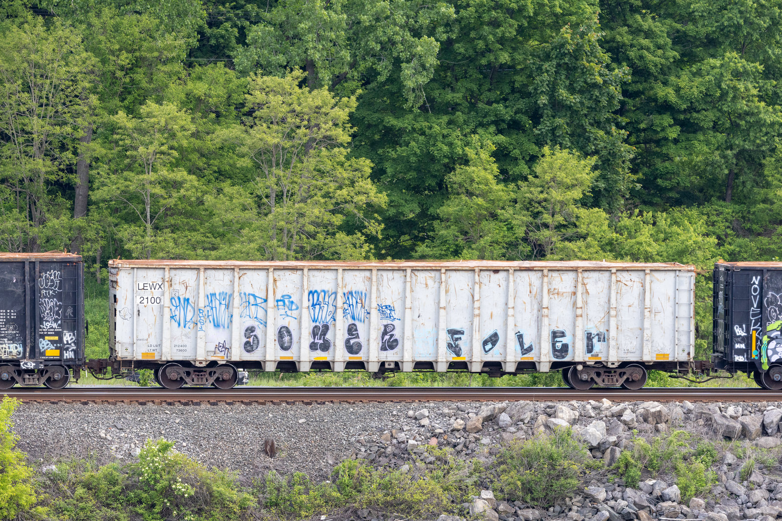 LEWX 2100