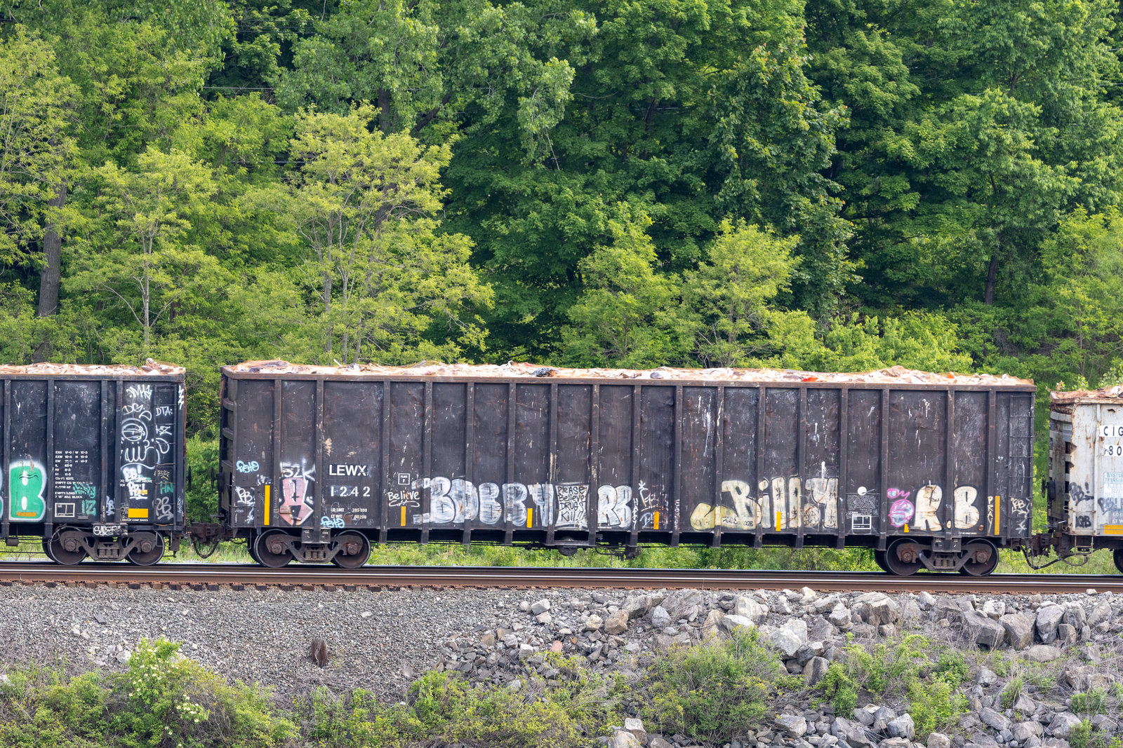 LEWX 1242