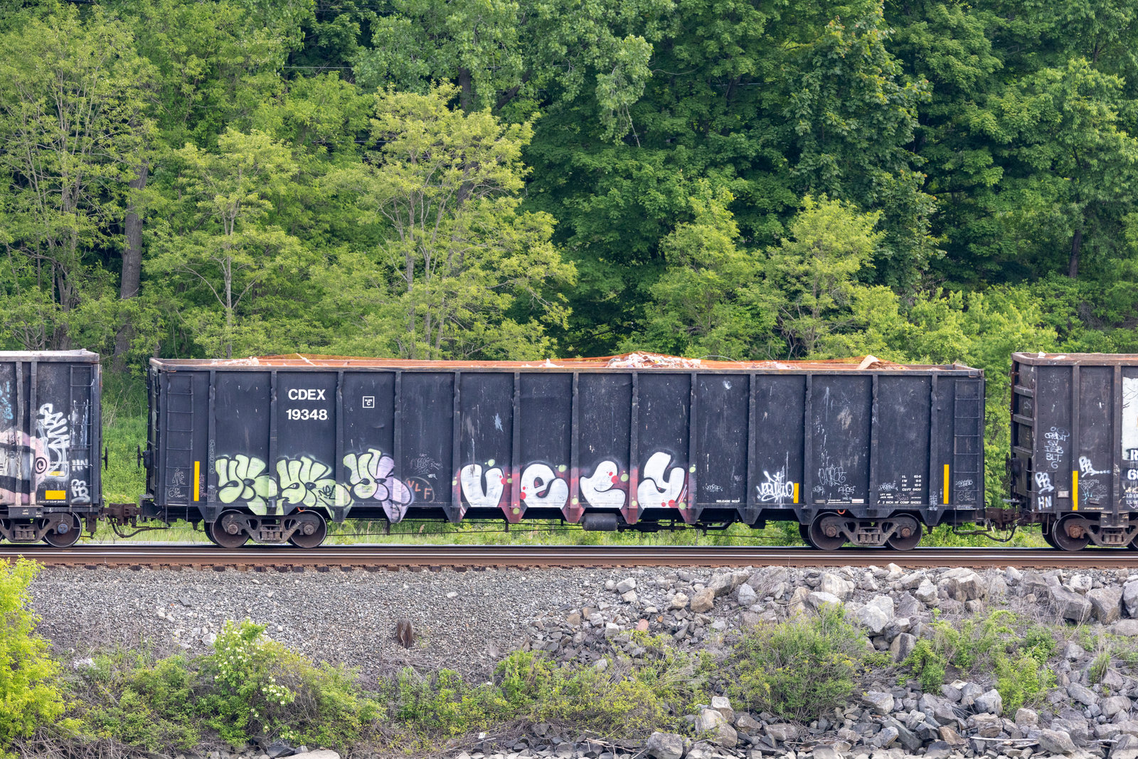 CDEX 19348