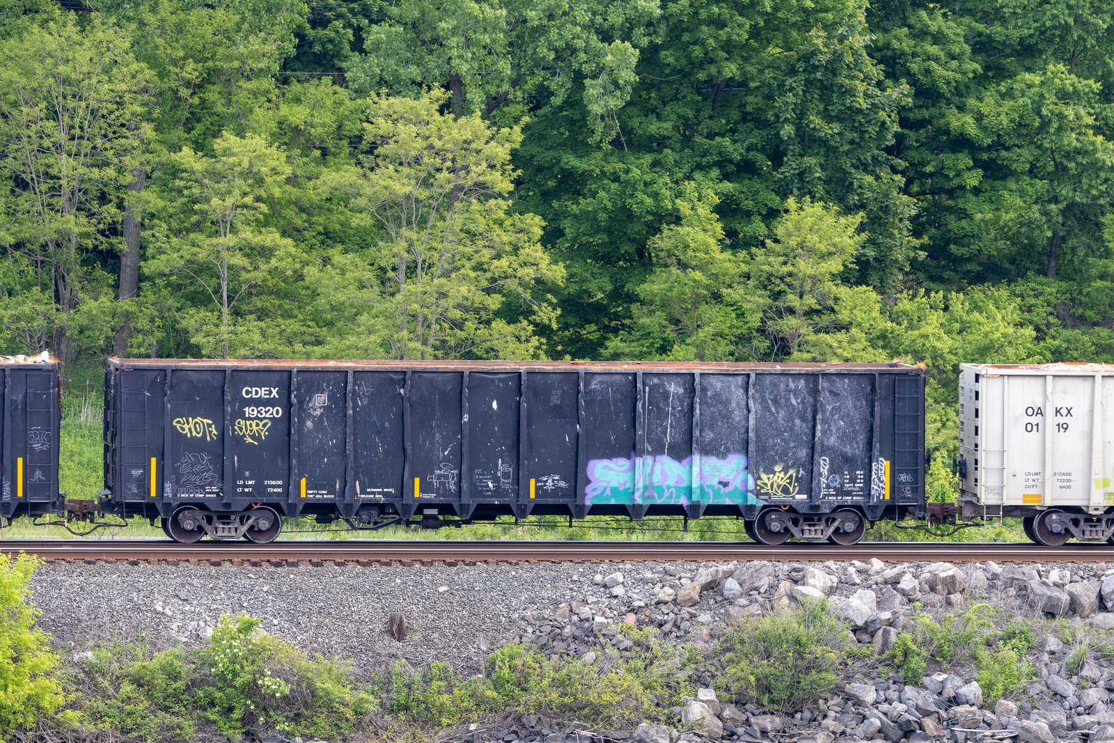 CDEX 19320