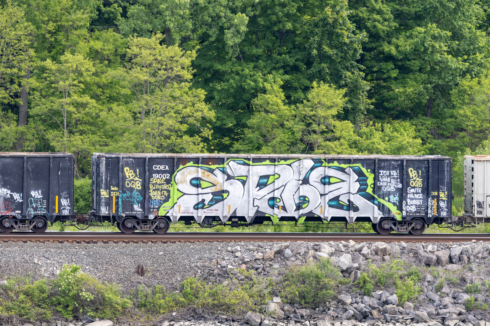 CDEX 19002